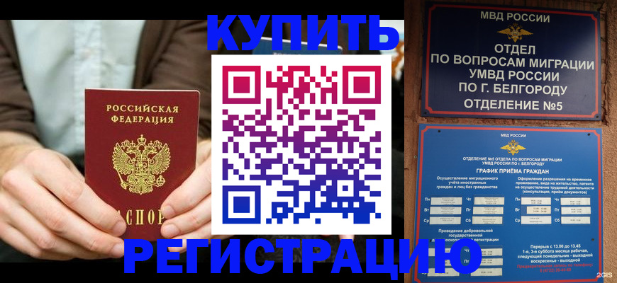 прописка 2025 в Сланцах